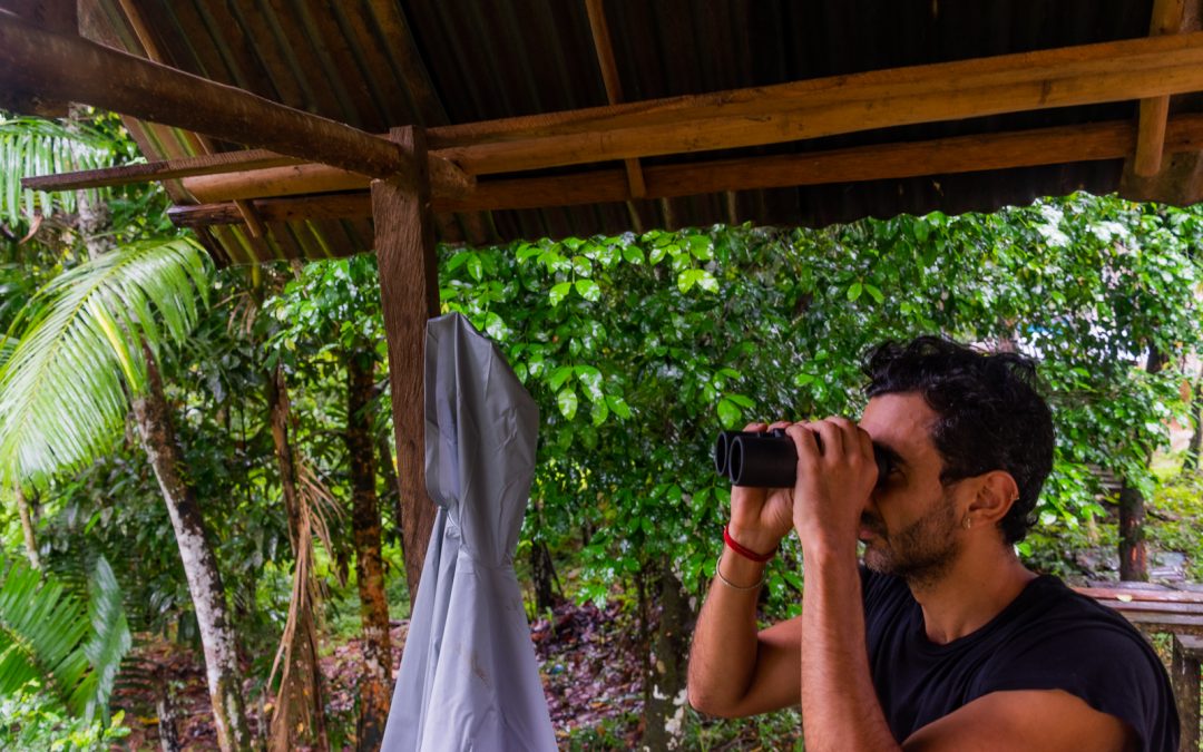 Onitano celebra el Campeonato del Global Big Day (GBD)