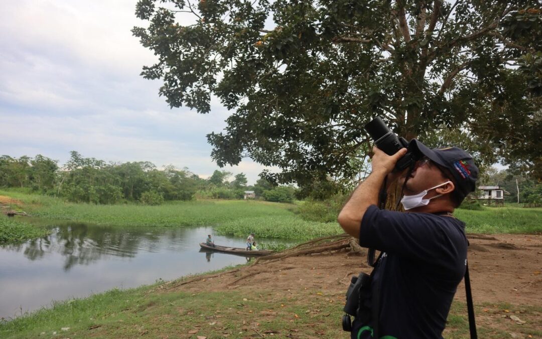 Las Flores del Cielo